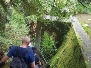 Image of hakarimatamay18c.jpg