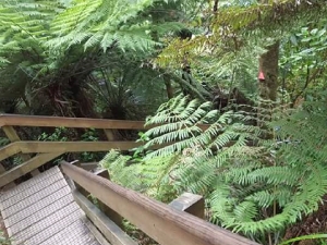 Image of hakarimatamay18d.jpg