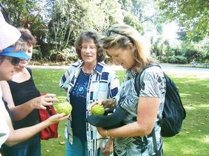 Image of hamiltonapr05fruit.jpg