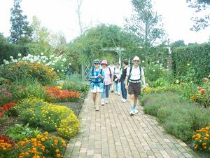 Image of hamiltonapr05gardensenglish.jpg