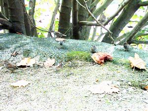 Image of hamiltonapr05lunch4.jpg