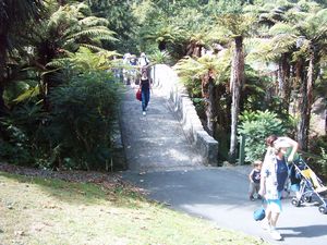 Image of hamiltonapr05paranapark.jpg