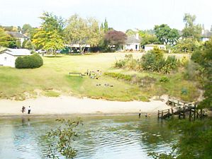 Image of hamiltonapr05swimming.jpg