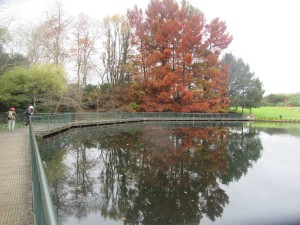 Image of hamiltongardensmay26p.jpg