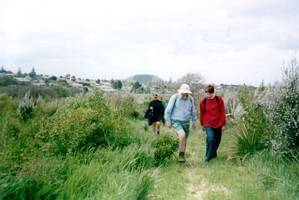 Image of hamlin02bush.jpg