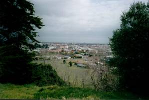Image of hamlin02mtrichmondotahuhu.jpg
