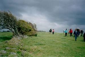 Image of hamlin02stonefence.jpg