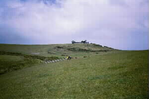 Image of hamlinshillq.jpg