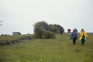 Image of hamlinshillstonefenceq.jpg