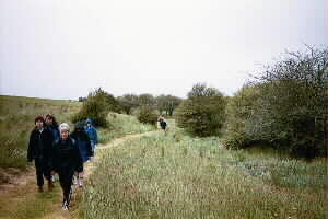 Image of hamlinshilltrackq.jpg