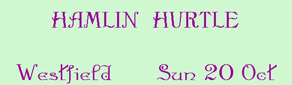 Image of hamlinshurtle.jpg