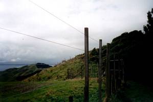 Image of hapuakohe03approachingsecondsummit.jpg