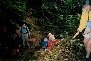 Image of hapuakohe03stream.jpg