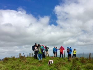 Image of hapuakohe16a.jpg