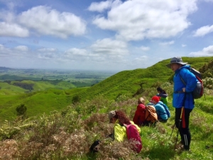 Image of hapuakohe16e.jpg