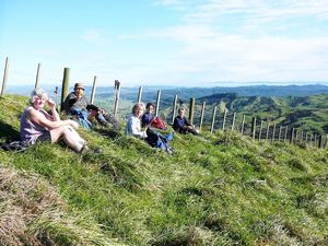 Image of hapuakohejul07c.jpg