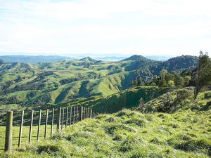 Image of hapuakohejul07d.jpg