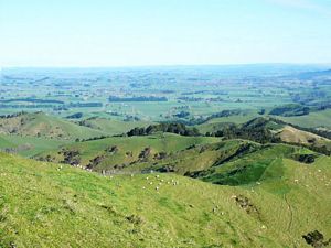 Image of hapuakohejul07f.jpg