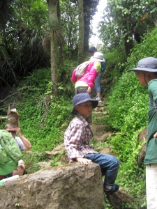 Image of harker17f.jpg