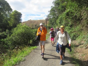 Image of haurakitrailmar21i.jpg