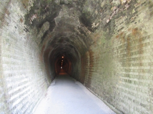 Image of haurakitrailmar21k.jpg