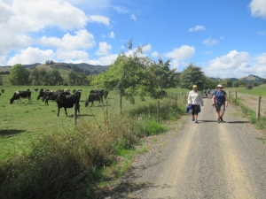 Image of haurakitrailmar21n.jpg