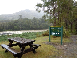 Image of heaphy16a.jpg