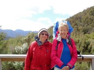 Image of heaphy16b.jpg