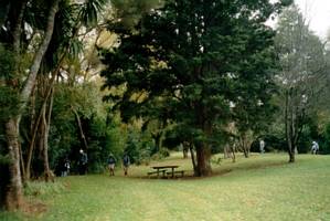Image of henderson03hendersonpark.jpg