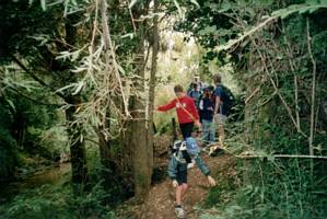 Image of henderson03roughbit.jpg