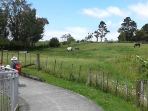 Image of hendersondec18g.jpg