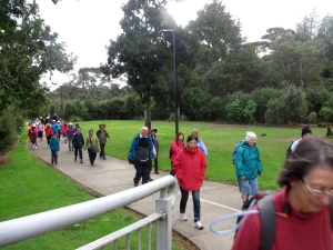 Image of hendersonjul152383.jpg