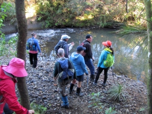 Image of hendersonvalleyjun17a.jpg