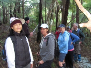 Image of hendersonvalleyjun17d.jpg