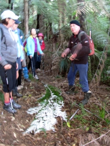 Image of hendersonvalleyjun17e.jpg