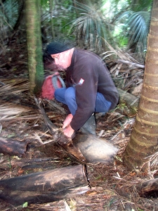 Image of hendersonvalleyjun17f.jpg