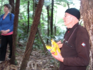 Image of hendersonvalleyjun17g.jpg