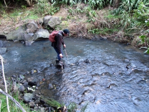 Image of hendersonvalleyjun17h.jpg