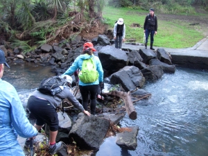 Image of hendersonvalleyjun17i.jpg