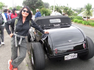 Image of hibiscusapr17a.jpg