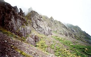 Image of hikurangi05climb.jpg