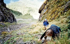 Image of hikurangi05steepclimb.jpg