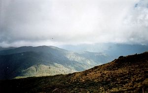 Image of hikurangi05view2.jpg