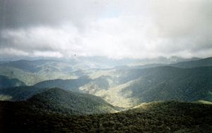 Image of hikurangi05view3.jpg