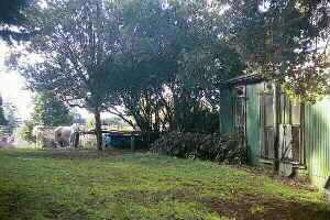 Image of hillsboreoughpremierparkhorseq.jpg