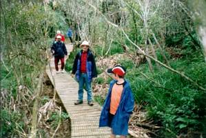 Image of hillsborough02belfasttrack.jpg