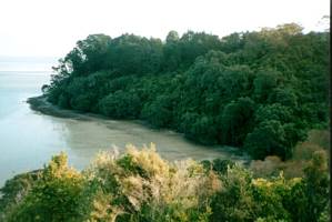 Image of hillsborough02waikowhaibay.jpg