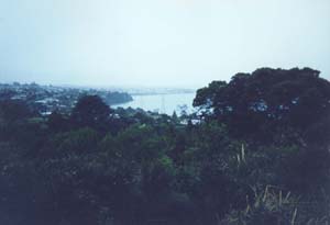 Image of hillsboroughviewq.jpg