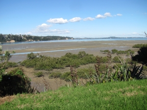 Image of hobsonvillenov17d.jpg