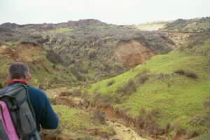 Image of hokiangadunesgullyq.jpg